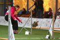 bida_agility40.jpg