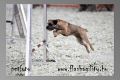 brida agility