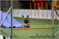 brida agility